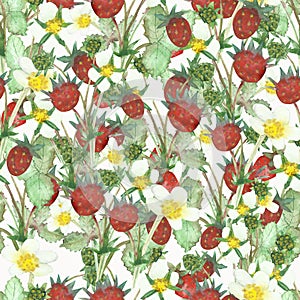 Watercolor hand painted nature forest meadow background composition with red wild strawberry, white yellow blossom flowers and gre