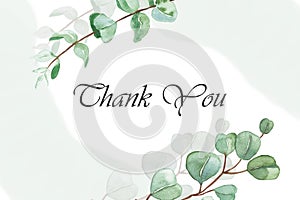 Watercolor hand painted nature frame with green eucalyptus leaves on branch composition with thank you text on the white backgroun