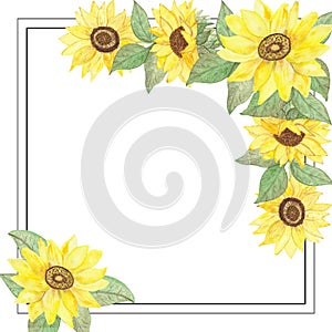 Watercolor hand painted nature garden plants squared frame with yellow sunflowers and green leaves bouquet in the corners