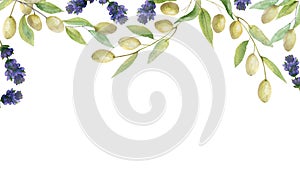 Watercolor hand painted nature garder banner frame with purple lavender flowers and green olives branches with leaves