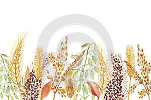 Watercolor hand painted nature grain field banner composition with golden rye ear, green and brown cereal ranches and orange leave photo