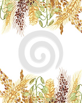 Watercolor hand painted nature grain field banner frame with golden rye ear, green and brown cereal branches and orange leaves bou