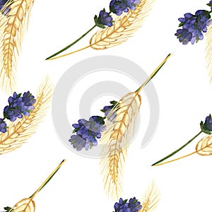 Watercolor hand painted nature grain field seamless pattern with purple lavender flower branches and golden rye ear cereals