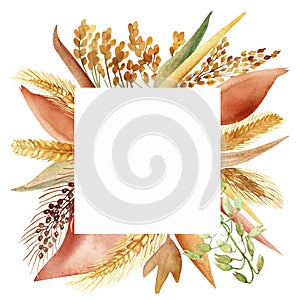 Watercolor hand painted nature grain field squared border frame with yellow, green and white, oats, barley, millet grain cereals a