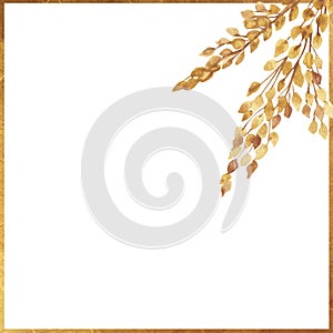 Watercolor hand painted nature grain fields squared frame with yellow cereal ear bouquet and golden border line composition
