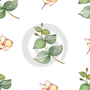 Watercolor hand painted nature greenery floral seamless pattern with pink blossom plumeria bud and green eucalyptus leaves on bran