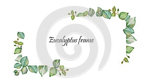 Watercolor hand painted nature greenery frame composition with green eucalyptus leaves bouquet and text