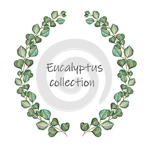 Watercolor hand painted nature greenery plant circle frame with green eucalyptus leaves on branch wreath and text composition