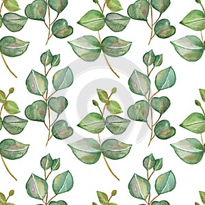 Watercolor hand painted nature greenery plants seamless pattern with green eucalyptus leaves on branches composition