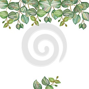 Watercolor hand painted nature greenery squared frame composition with green eucalyptus leaves on branches