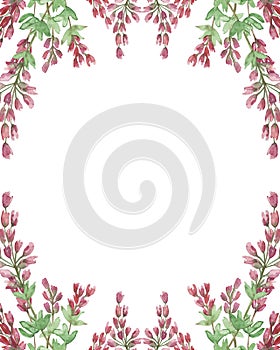 Watercolor hand painted nature herbal border frame with pink blossom heather flowers and green leaves composition on the white bac