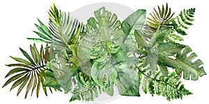 Watercolor hand painted nature jungle composition bouquet with different green tropical leaves collection