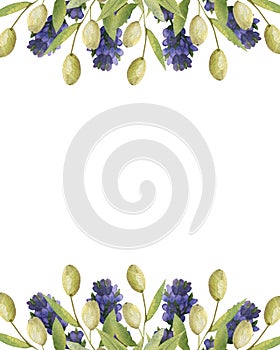 Watercolor hand painted nature provence banner border frame with purple lavender flowers and green olives branches bouquet on the