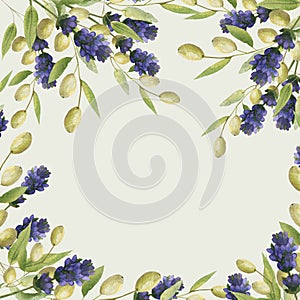 Watercolor hand painted nature provence squared border frame with green olive and leaves on branch and purple lavender flower bouq