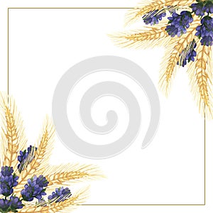 Watercolor hand painted nature squared border frame with purple lavender flower branches and golden rye ears bouquet