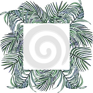 Watercolor hand painted nature squared border tropical frame with green purple palm leaves bouquet composition on the white backgr