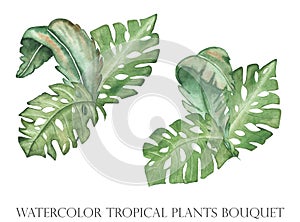 Watercolor hand painted nature summer season tropical composition with green monstera palm leaves bouquet