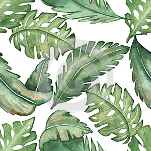 Watercolor hand painted nature summer tropical seamless pattern with green palm exotic leaves texture