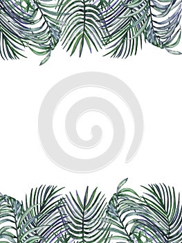 Watercolor hand painted nature tropical banner frame with green palm leaves composition on the white background for invite and gre