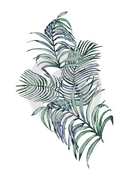 Watercolor hand painted nature tropical composition with different green purple palm leaves bouquet on the white background for de