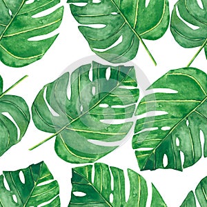 Watercolor hand painted nature tropical plants seamless pattern with green palm leaves