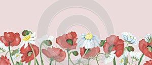 Watercolor hand painted nature wild floral banner frame with red poppy and white chamomile flowers bouquet on the beige background