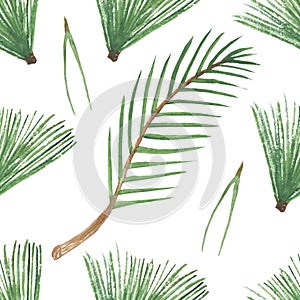 Watercolor hand painted nature winter plant seamless pattern with green fir needle on branch composition isolated on the white bac