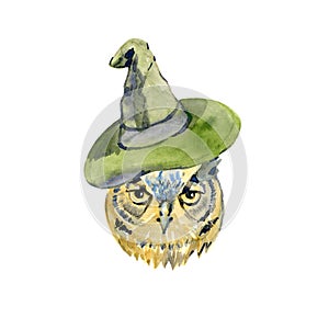 Watercolor hand painted owl in a magic hat illustration isolated on a white background. Magical bird design,Wizard