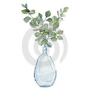 Watercolor hand painted plants in glass vase with branches eucalyptus. Eco home natural minimalistic illustration.