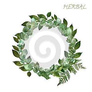 Watercolor hand painted round border with eucalyptus plant, fern leaf and forest wild plants, isolated on white background.