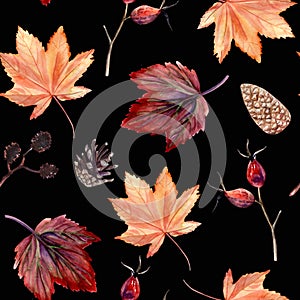 Watercolor hand painted seamless pattern with autumn leaves, alder branches, cones and rose hip beries on black background.