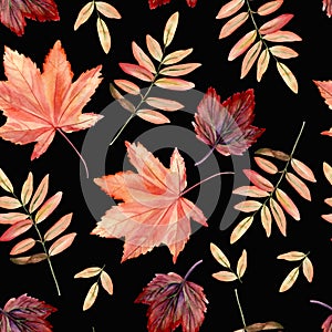 Watercolor hand painted seamless pattern with autumn leaves on black background.