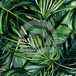 Watercolor hand painted seamless pattern with green tropical leaves of monstera, banana tree and palm on black background