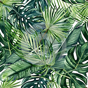 Watercolor hand painted seamless pattern with green tropical leaves of monstera, banana tree and palm on white  background