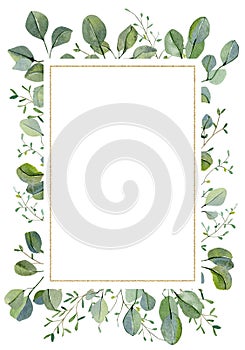 Watercolor hand painted silver dollar eucalyptus and greenery plant wedding card. Greenery branches