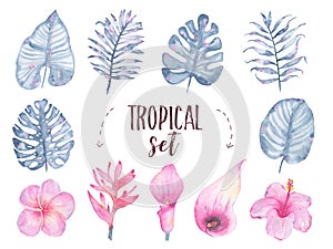 Watercolor hand painted tropical indigo leaf flower frangipani hibiscus calla lily set isolated on white background