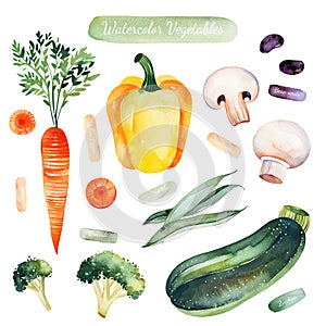 Watercolor hand painted vegetables isolated on white background