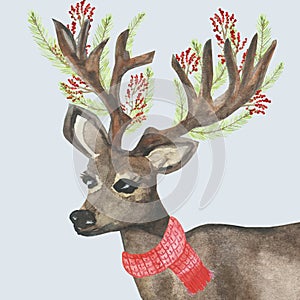 Watercolor hand painted wild nature winter holiday composition with brown deer and horns