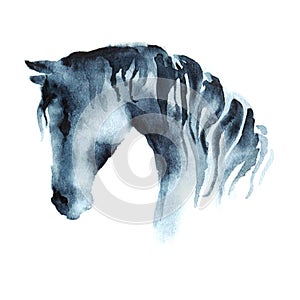 Watercolor hand painting horse head on white.