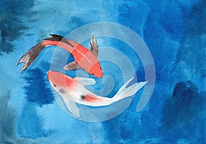 Watercolor hand painting, two koi carp fish in pond, symbol of good luck and prosperity