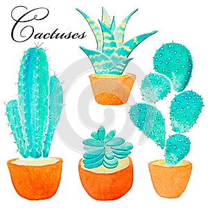 Watercolor handpainted cactus plant and succulent plant in pot.Watercolor clipart,individual flower pot isolated on