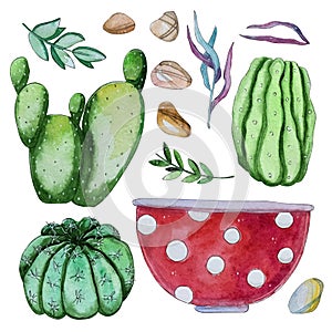 Watercolor handpainted set of cactus plant