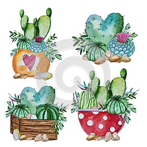 Watercolor handpainted set of cactus and succulent plant