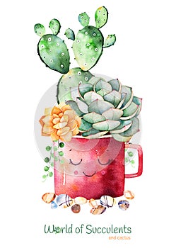 Watercolor handpainted succulent plant and cactus in pot and pebble stones.