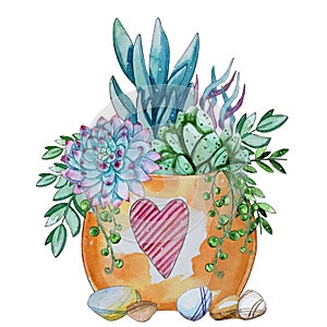 Watercolor handpainted succulent plant composition