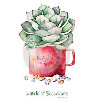 Watercolor handpainted succulent plant in pot and pebble stone.