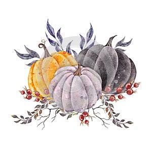 Watercolor harvest pumpkin with tree branches, leaves and roseship. Fall holiday hand drawn illustration. Thanksgiving