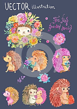 Watercolor hedgehog illustration