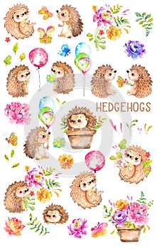 Watercolor Hedgehogs. Babies. Watercolor little animal clipart