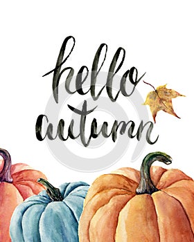 Watercolor hello autumn lettering with pumpkin and leaf. Hand painted orange and blue vegetables isolated on white background.